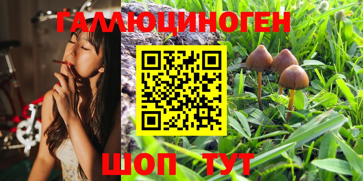 Галлюциногенные грибы MAGIC MUSHROOMS Зеленокумск